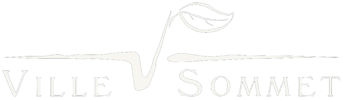 villesommet-logo-xx