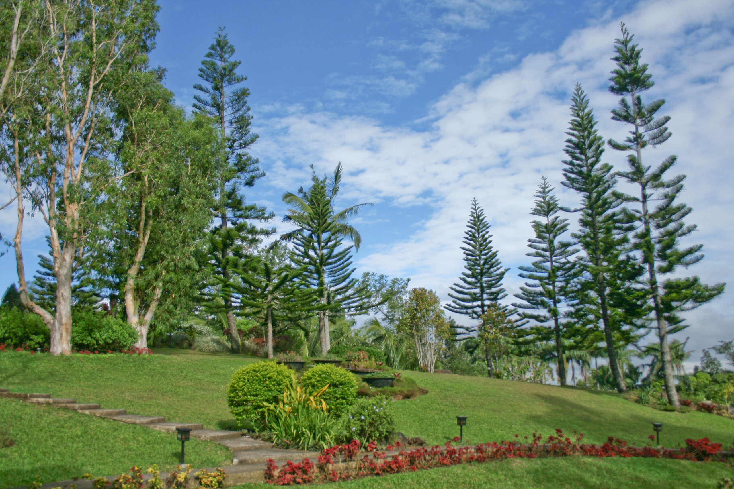 parkland-landscape (12)